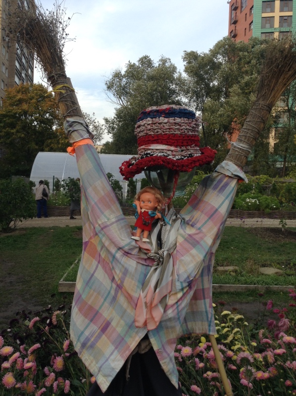 Аптекарский огород сегодня. ч.5. Грибной фестиваль