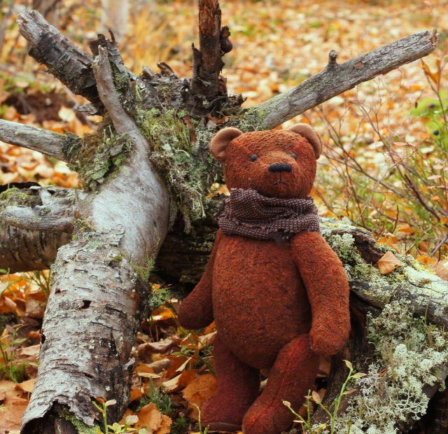 Осенний натюрморт — Другие хобби и увлечения: сад (фото 3)