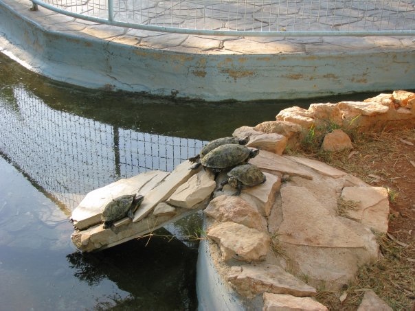 Путешествие на о. Кипр — Туризм и путешествия: фотоотчеты из поездок