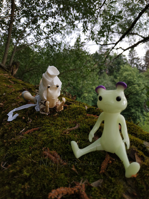 Wonderfrog. Красота в простоте