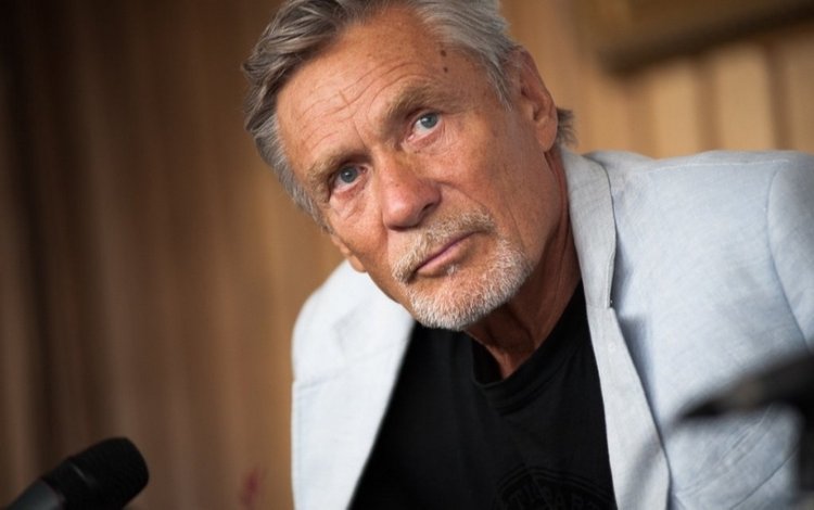 Александр Михайлов — Культура