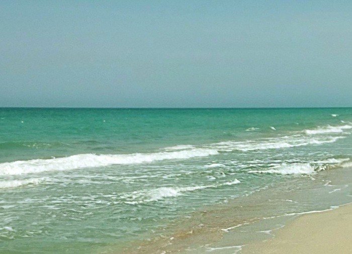 Воспоминания о море и лете - Витязево (фото 4)