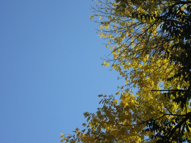 Выходной с Хеленой в Таганроге (фото 7)