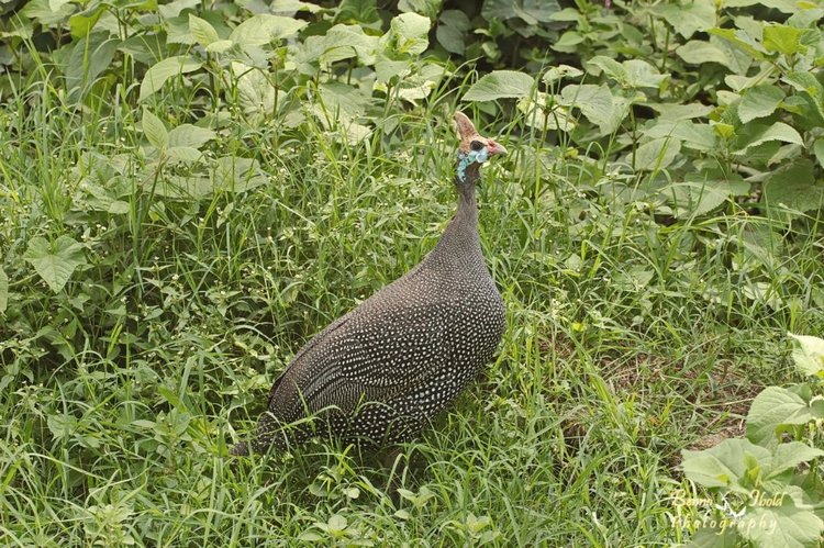 Любителям природы - профессиональные фотографии (выпуск 4)