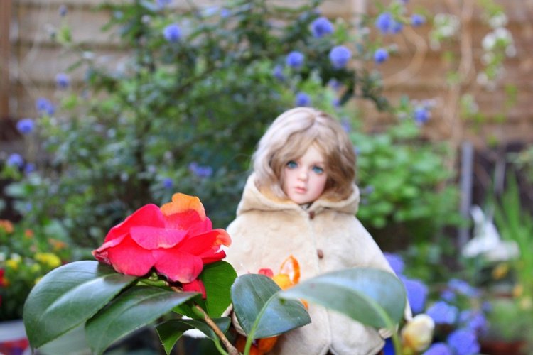 Новый наряд Розочки и прогулка в саду