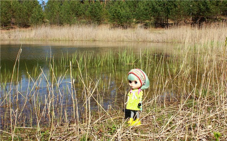 Долгая дорога к Волге. Custom Blythe Doll UFO Go Go Takara