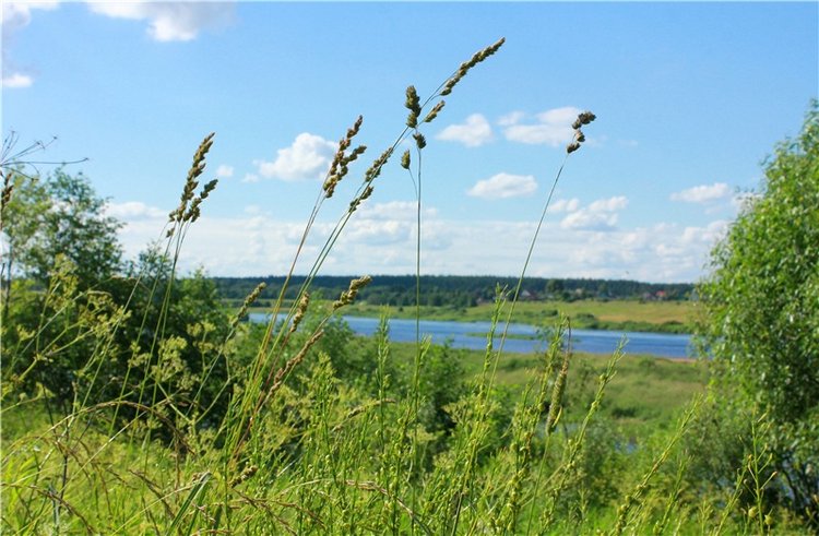 Путешествие Эли на красивый берег реки Волги
