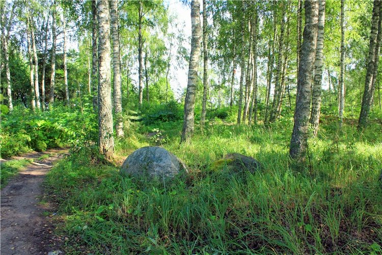 Августовское путешествие в "Сад Камней" | Бэйбики Августовское путешествие в "Сад Камней"