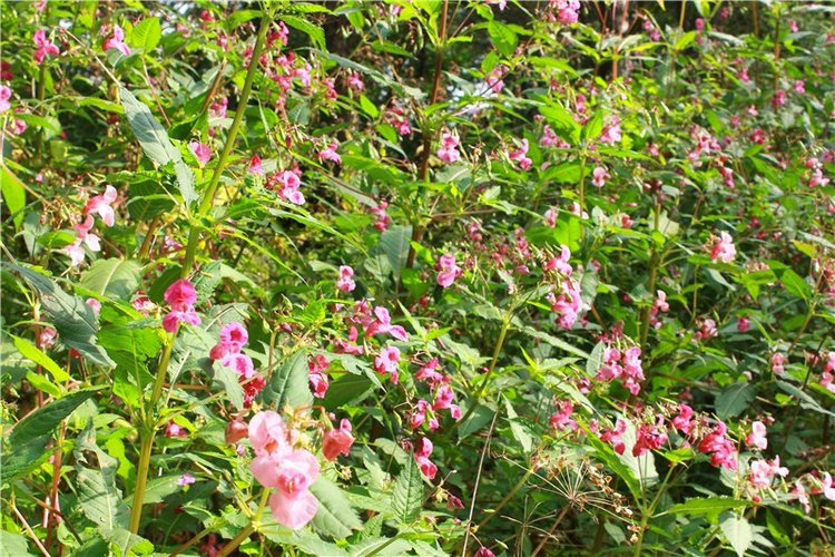 Сентябрьское путешествие в Старицу, четвёртая часть