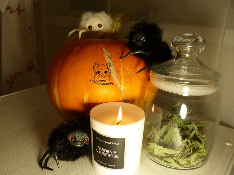 Halloween и маленькие паучки (фото 6)