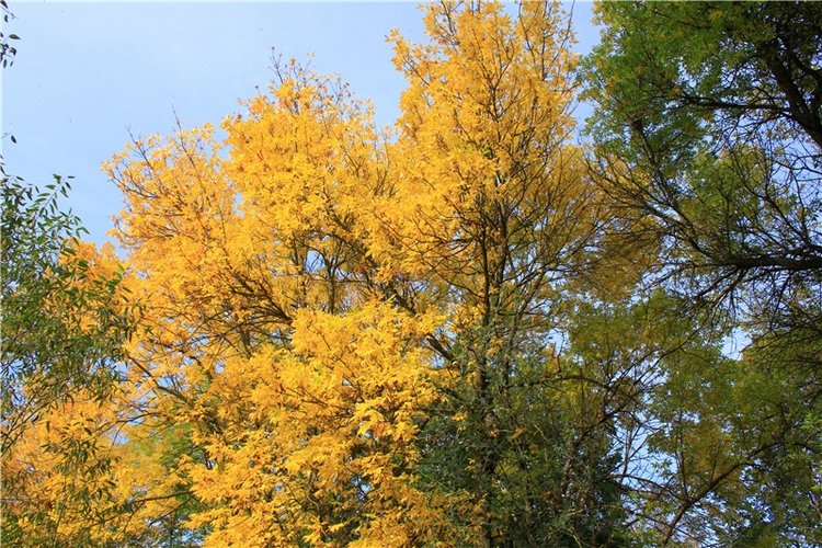 Путешествие Dal Hangry в Грузины, продолжение (фото 2)