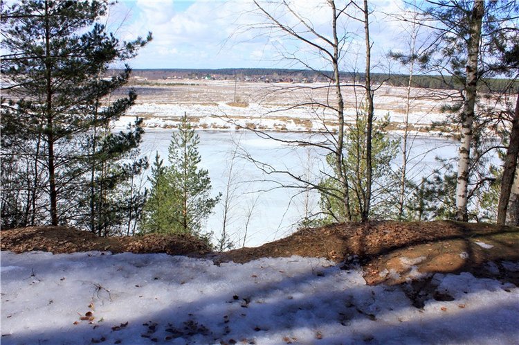 Весна в "Саду Камней" | Бэйбики Весна в "Саду Камней" — Куклы Meadow dolls (Медовушки): BJD (БЖД)
