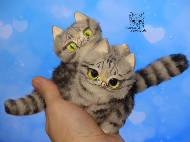 Котята и подготовка к новому году