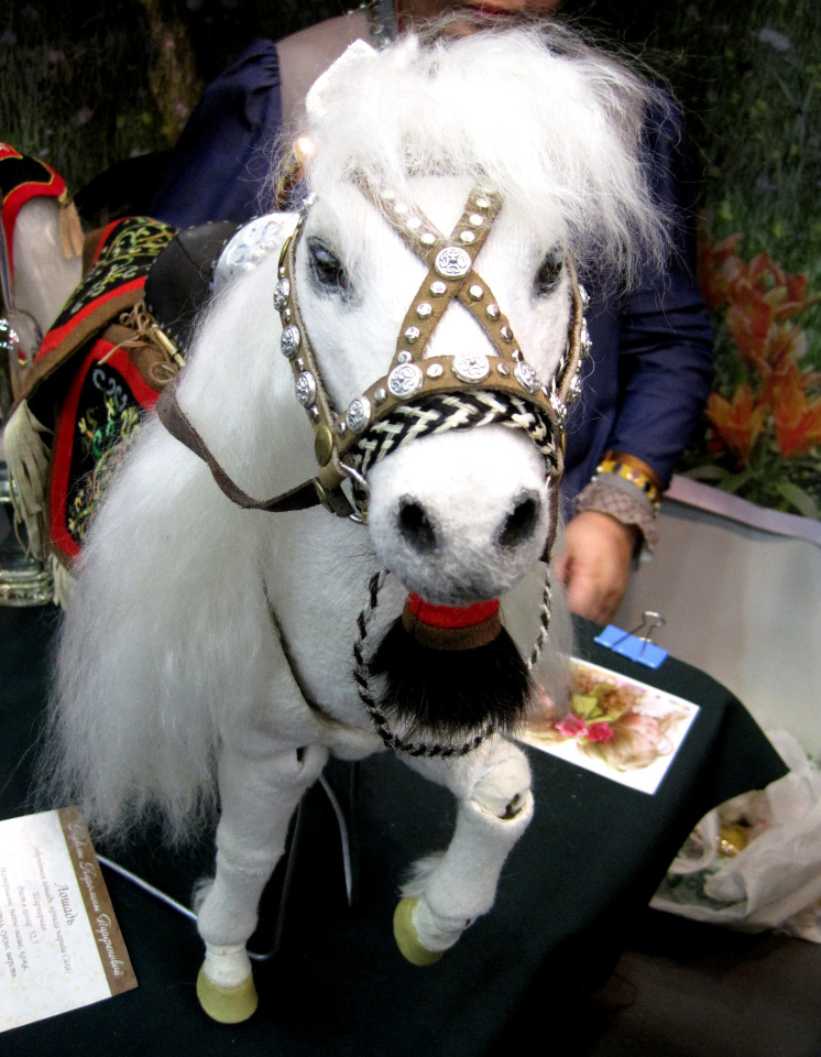 Лошадка Света. Знакомство