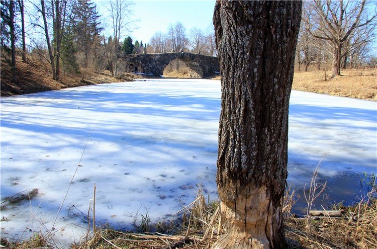 Апрельский день в Василёво, заключительная часть