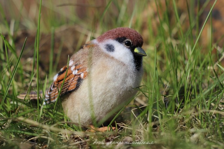 Воробушки — Валяные игрушки из шерсти: сухое валяние