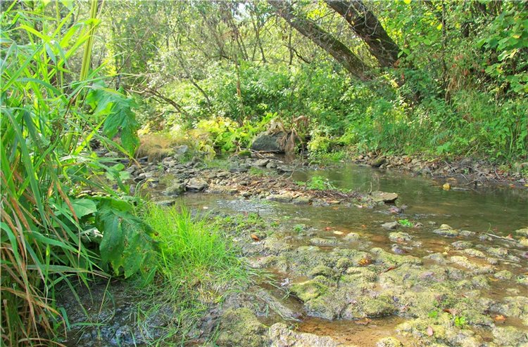 Старицкая Швейцария. Путешествие с Сашей, продолжение. Уникальная кукла от Сильвии Наттерер