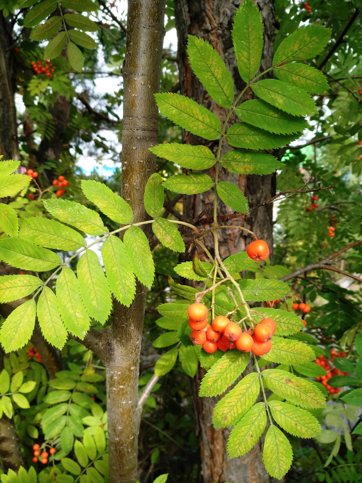 Тайна моего имени. Часть вторая. Надо быть похожей на саму себя (фото 5)