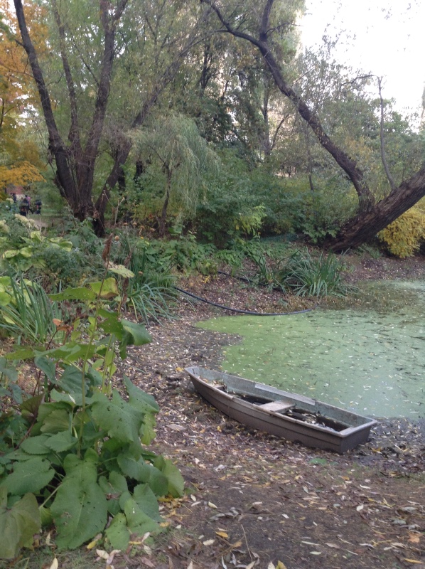 Аптекарский огород сегодня. ч.5. Грибной фестиваль