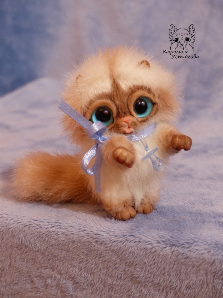 Сиамский котеночек-ребеночек (фото 2)