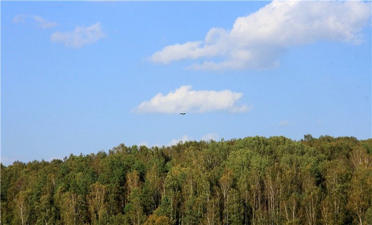 Нийя. Воспоминание об осени, Чукавино, Эко-Лэнд