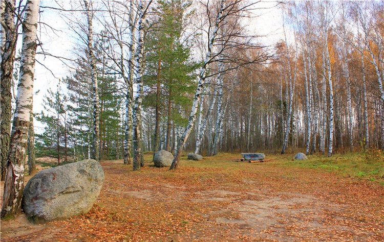 Ромашковый октябрь. Zwergnase Mischa