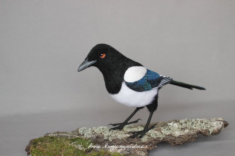 Сорока-белобока — Валяные игрушки из шерсти: сухое валяние (фото 2)