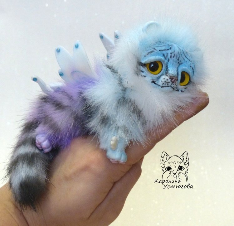 Ахисмио Тигровый в новом окрасе