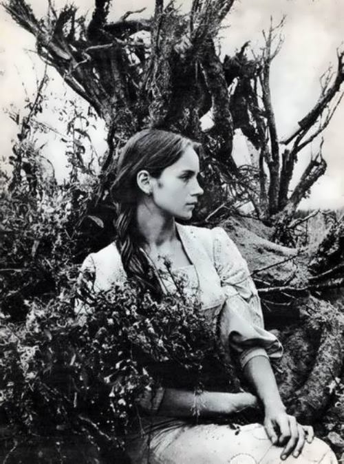 Ирина Купченко — Интересное обо всем: поздравления (фото 6)