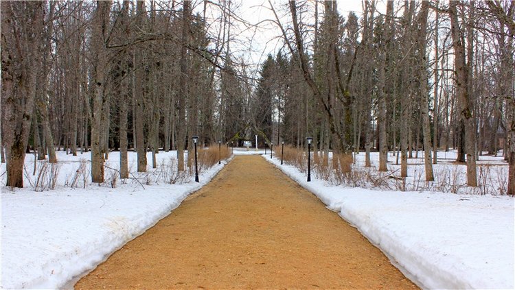 Джиджи в Берново. BJD Gigi от Meadow Dolls (фото 8)