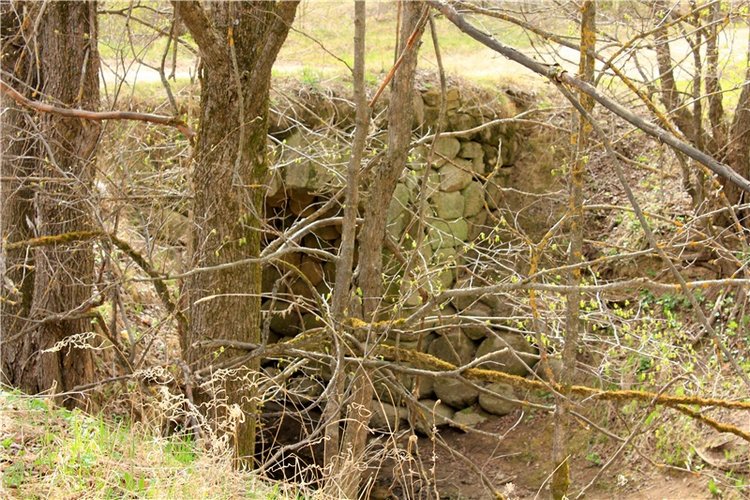 Заблудилась. Georgia от Berdine Creedy