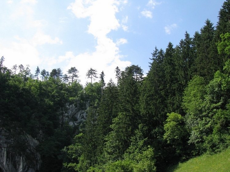 Незабываемая экскурсия по Словении: Постойная Яма и Предъямский замок