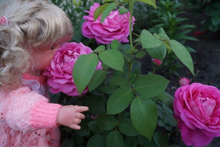 Катя сходила в гости — Интересные игрушки и фигурки (разное): редкие