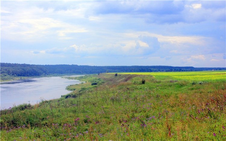 Летняя Фантазия — Куклы Kaye Wiggs (Кайе Виггс): авторские BJD (БЖД)