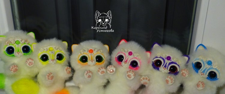 Королевские волшебные коты, породы: Мирис. В кадре и за кадром. Процесс (фото 9)