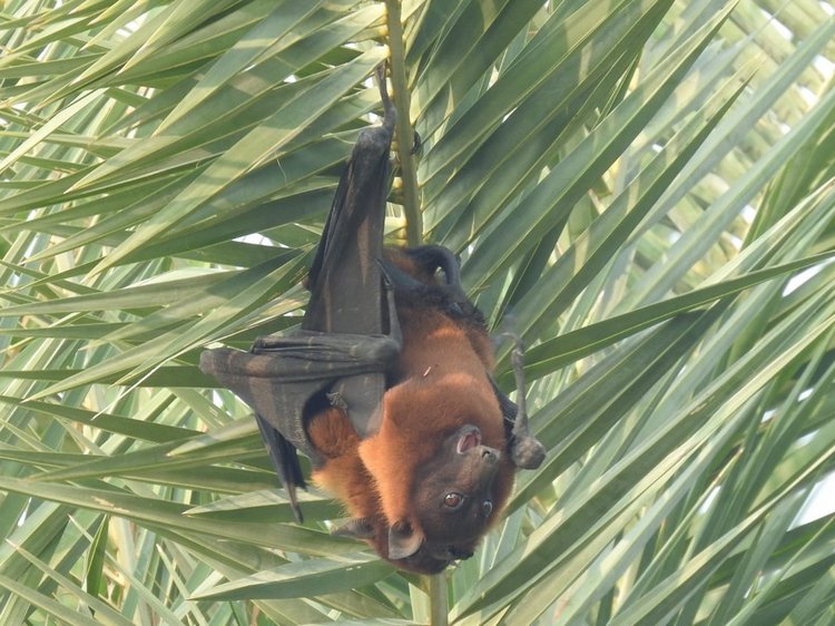 Любителям природы - профессиональные фотографии (выпуск 4)