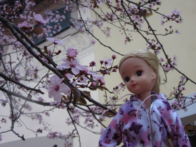 До пандемии. Путешествие по Италии, часть 3 (Флоренция, аутлет Барберино)