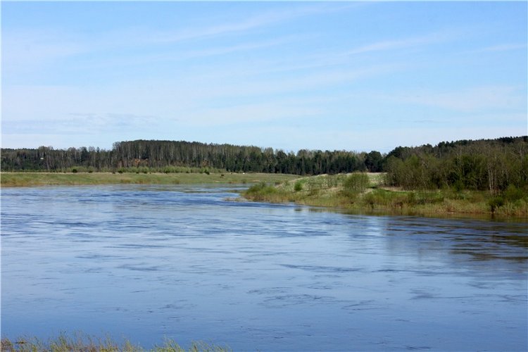 Долгая дорога к Волге. Custom Blythe Doll UFO Go Go Takara