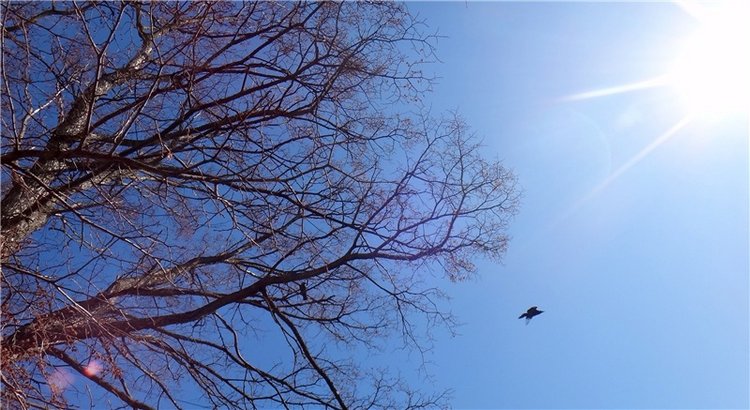 Просто Весна — Красивая природа и цветы: фото пейзажей