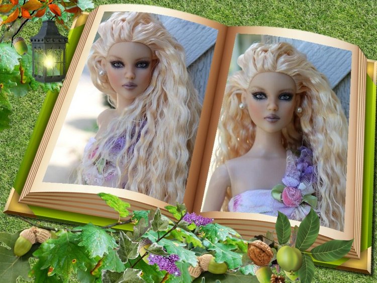 Мои Тоннерки. Фотозарисовки