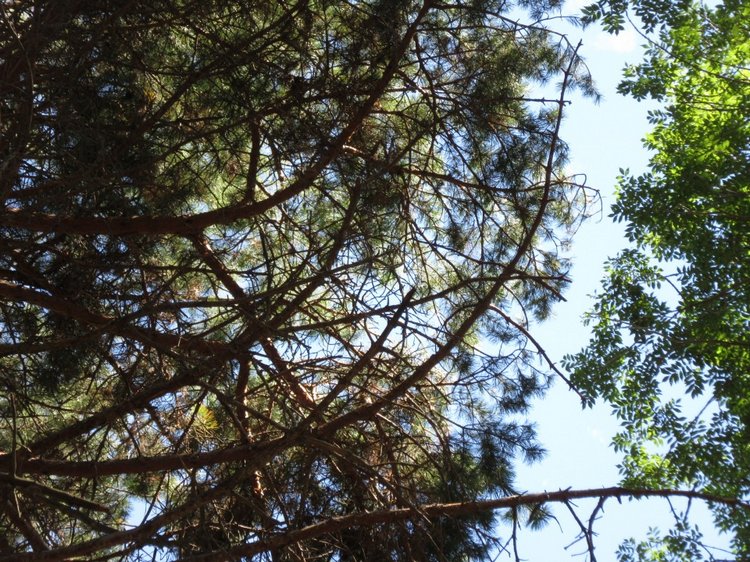 Горячее солнышко Кисловодска