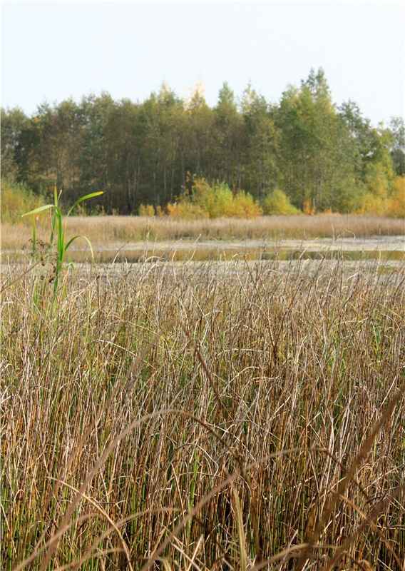 "Бабье Лето" на Водопаде, продолжение