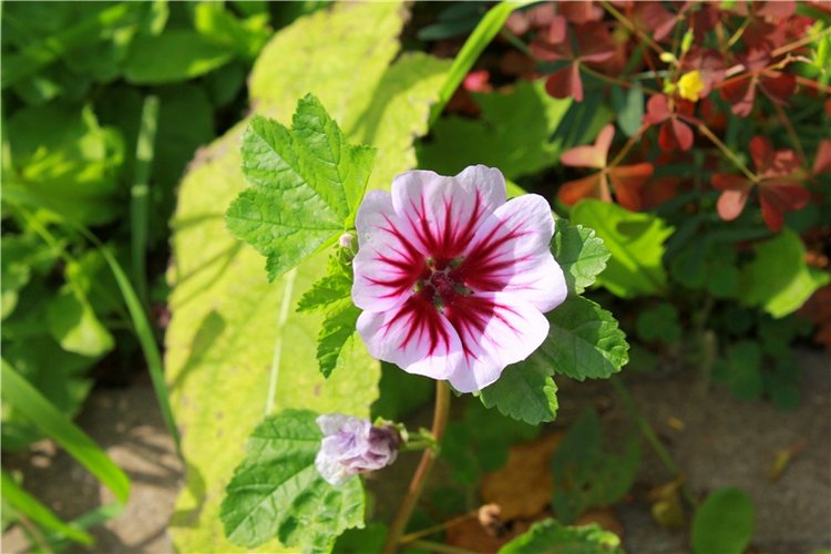 Сентябрьское путешествие в Старицу. Старицкий Свято-Успенский Монастырь