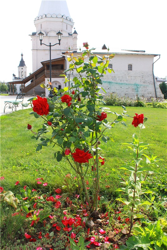 Сентябрьское путешествие в Старицу. Старицкий Свято-Успенский Монастырь