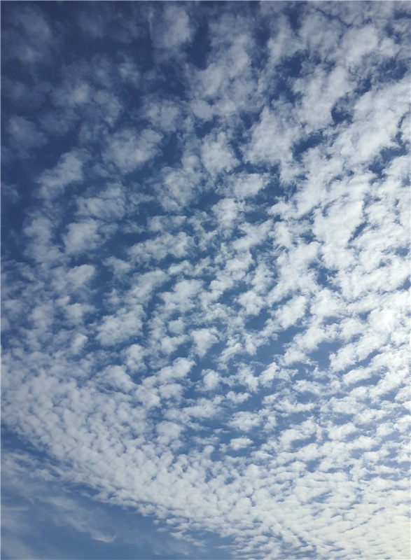 Путешествие Имани на Волгу, продолжение. Mini Imani от Kaye Wiggs