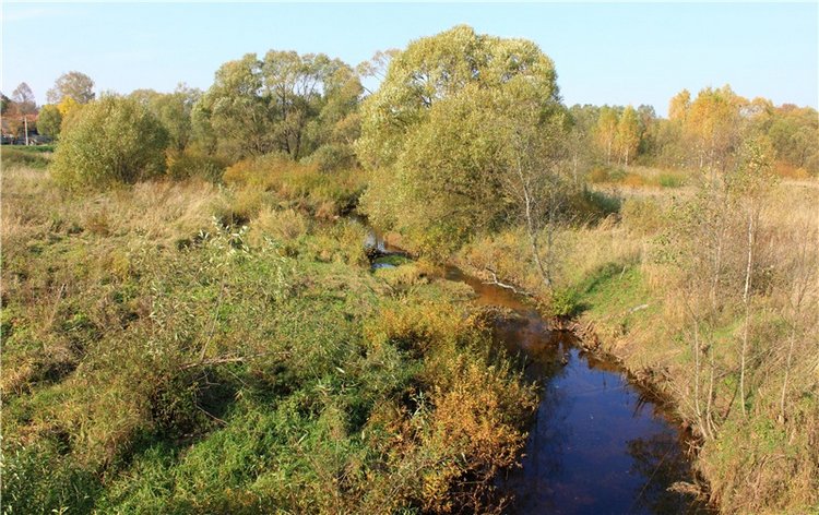 Путешествие Dal Hangry в Грузины