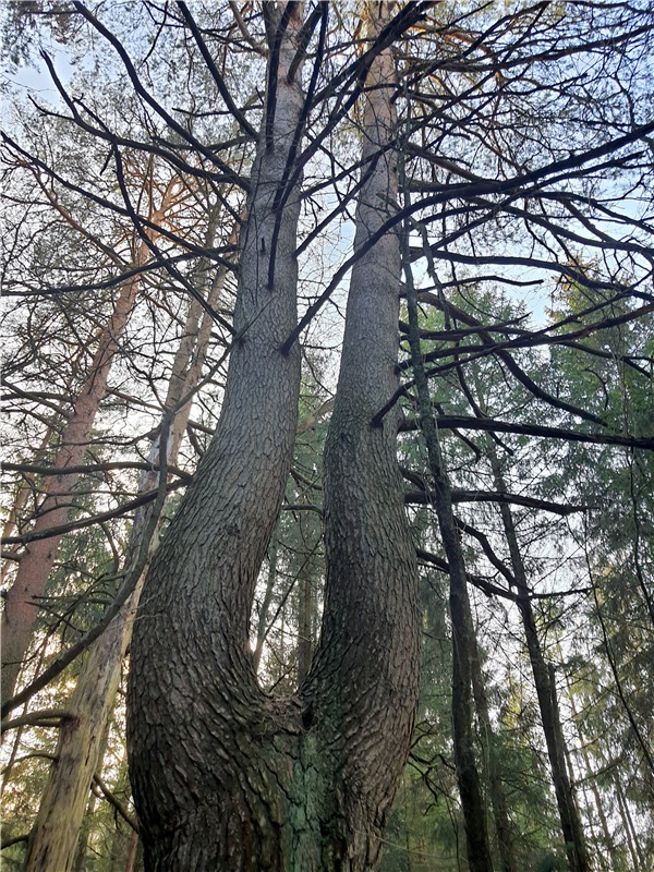 Путешествие по Святым местам Тверской области (фото 5)