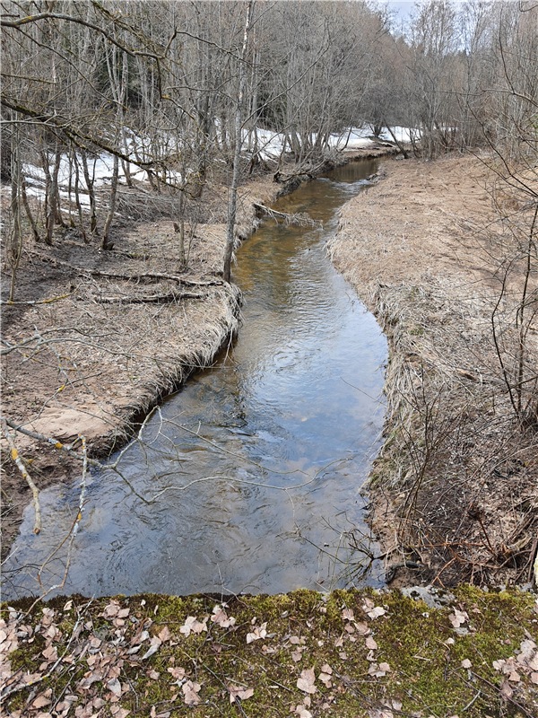 Путешествие Имани в ПанИку