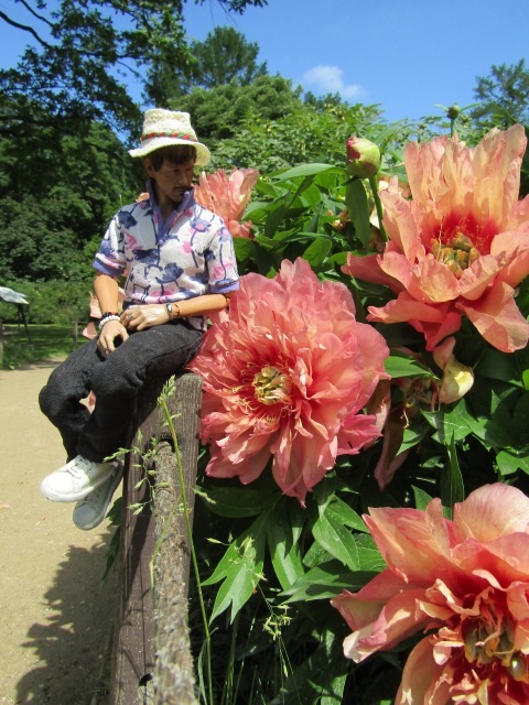 Тони Старк: приключения без брони. И снова Аптекарский огород | Бэйбики Тони Старк: приключения без брони. И снова Аптекарский огород