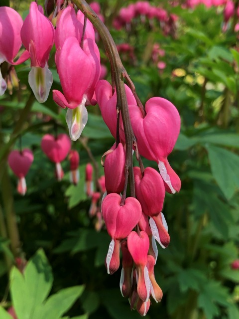 Тони Старк: приключения без брони. Был месяц май, половина вторая